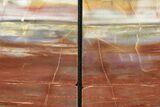 Tall, Arizona Petrified Wood Bookends - Rainbow Colored #240776-2